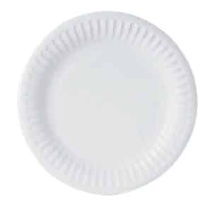 22cm (9") Disposable Uncoated Paper Plates - 1000 per Case