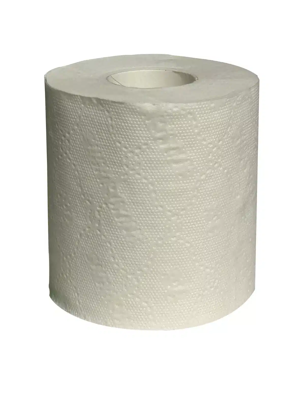 40 rolls of 3 ply Toilet Roll made from the sugarcane plant 170 sheets per roll - Image 3
